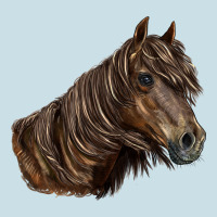 Missouri Horse Ladies Tee | Teevron