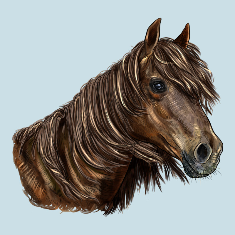 Missouri Horse Ladies Tee by LillyAllenDesigns | Teevron