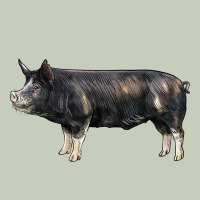 Berkshire Pig Ladies Tee | Teevron