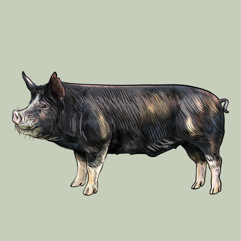 Berkshire Pig Ladies Tee by LillyAllenDesigns | Teevron