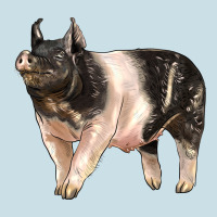 Hampshire Pig Ladies Tee | Teevron