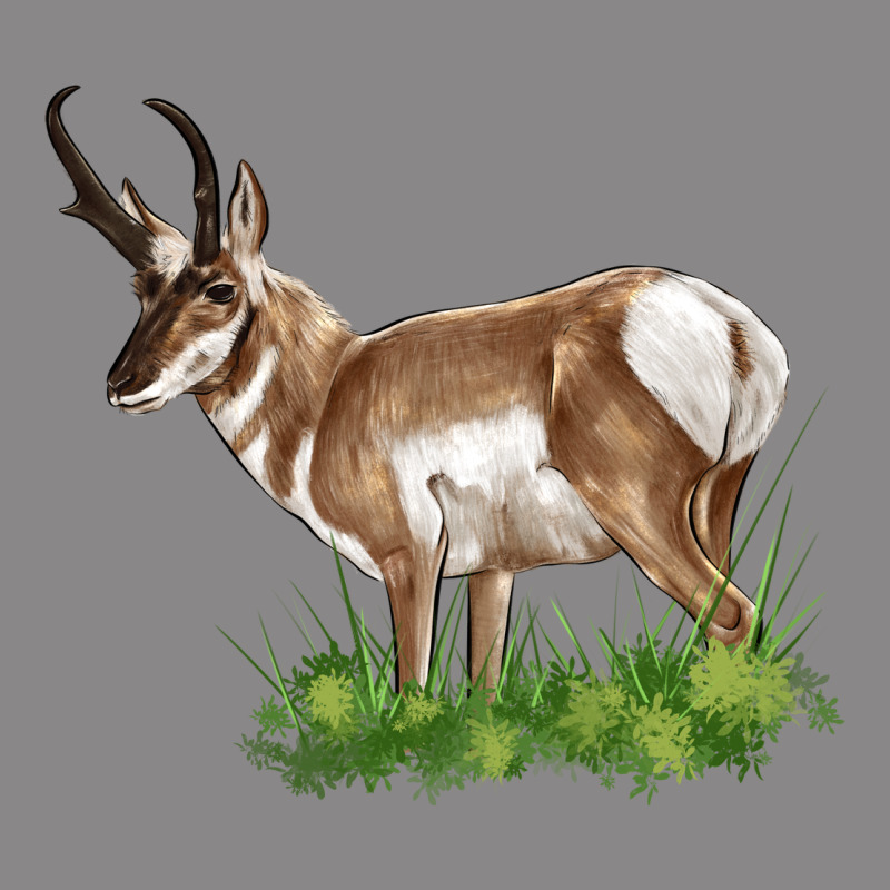 Pronghorn Vintage Tee by LillyAllenDesigns | Teevron