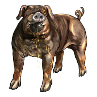 Duroc Pig | Teevron
