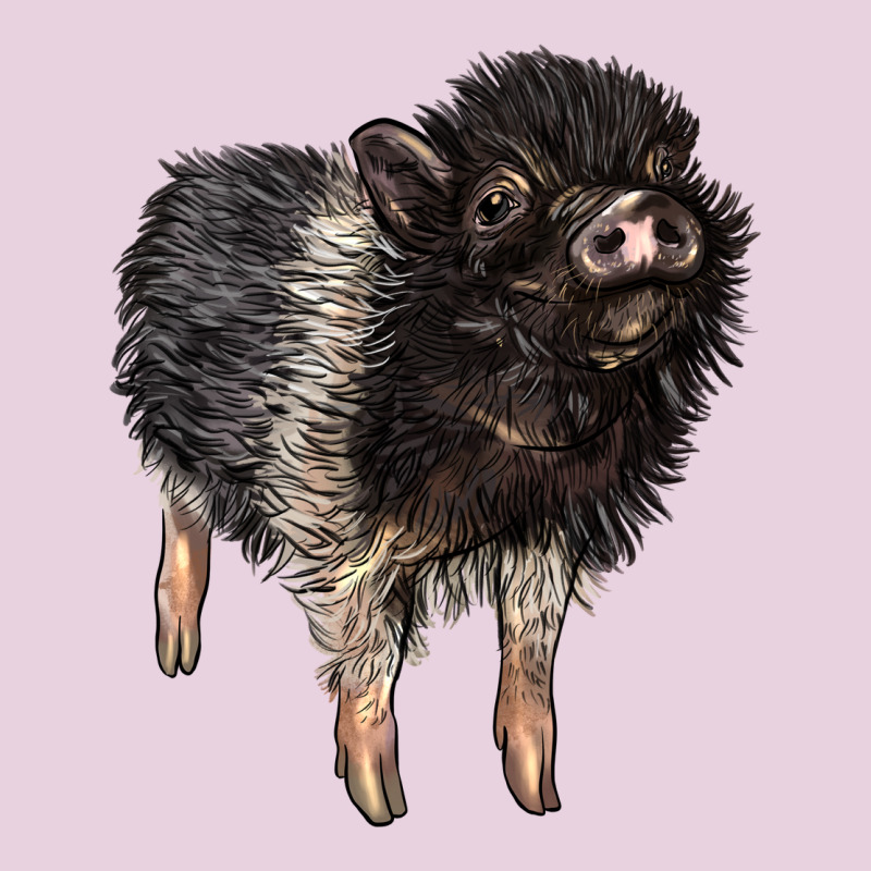Baby Hampshire Pig Ladies Tee by LillyAllenDesigns | Teevron