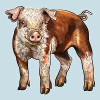 Baby Hereford Pig Ladies Tee | Teevron