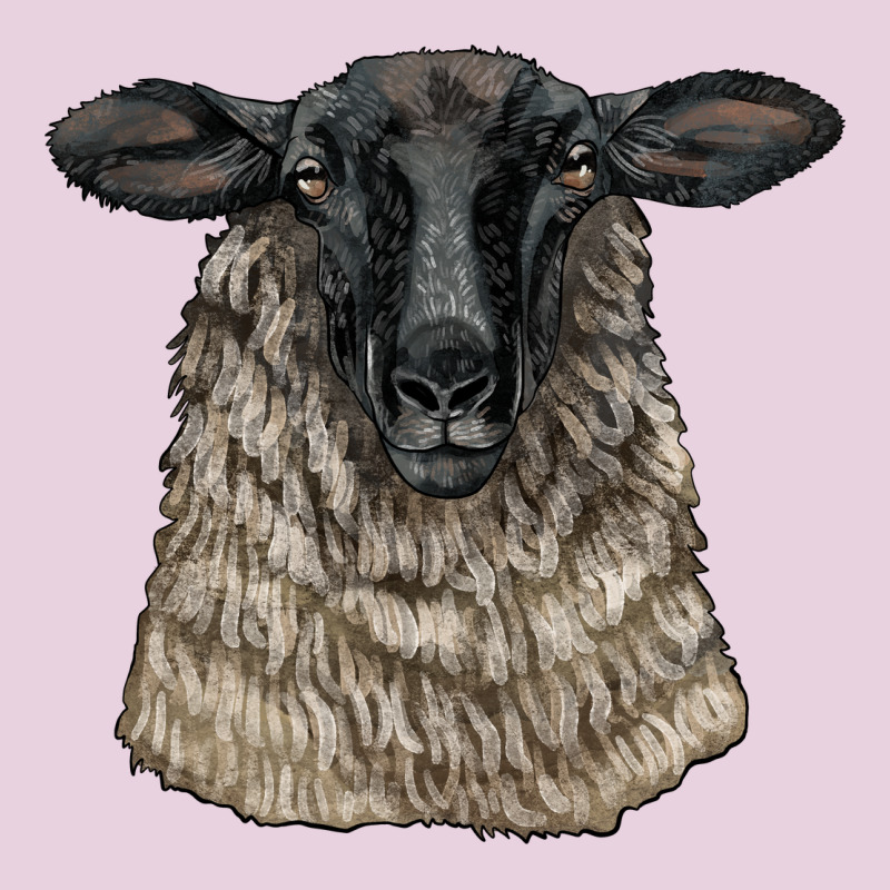 Suffolk Sheep Head Ladies Tee by LillyAllenDesigns | Teevron