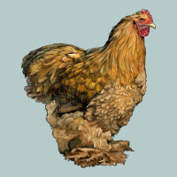 Cochin Chicken Heavy Core Tee | Teevron