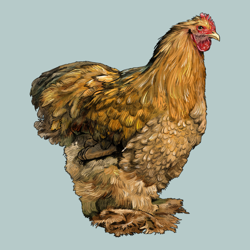 Cochin Chicken Heavy Core Tee by LillyAllenDesigns | Teevron
