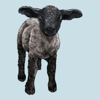 Suffolk Baby Sheep Ladies Tee | Teevron