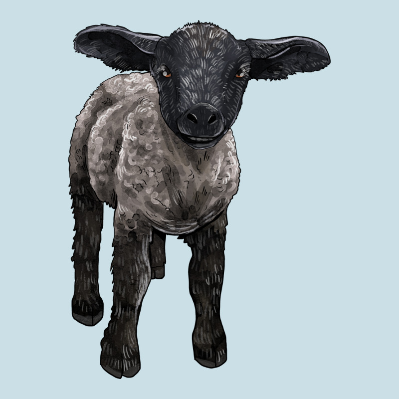 Suffolk Baby Sheep Ladies Tee by LillyAllenDesigns | Teevron