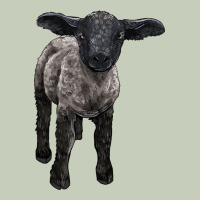 Suffolk Baby Sheep Ladies Tee | Teevron