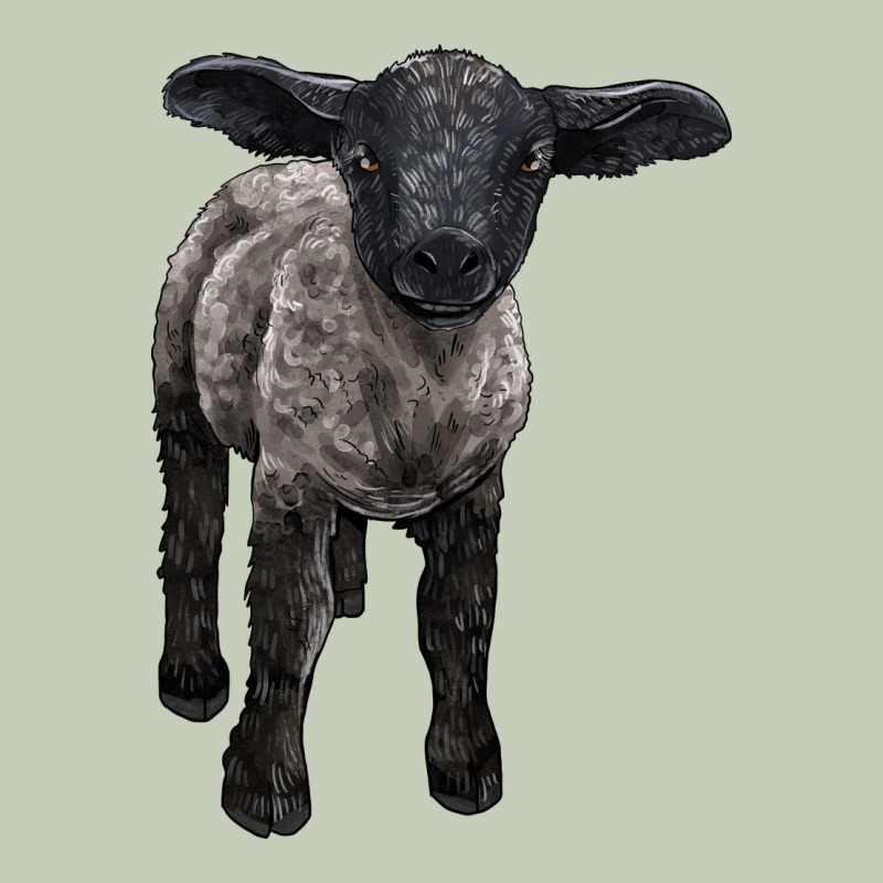Suffolk Baby Sheep Ladies Tee by LillyAllenDesigns | Teevron
