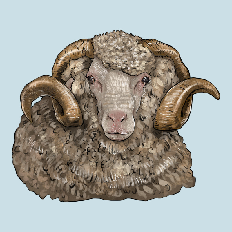 Merino Wool Sheep Head Ladies Tee by LillyAllenDesigns | Teevron