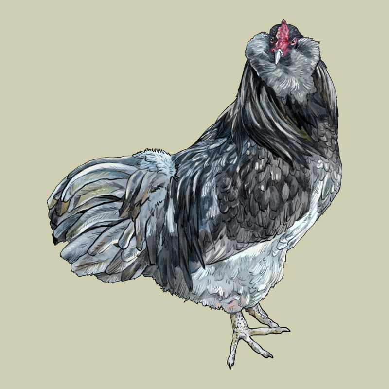 Ameraucana Rooster Heavy Core Tee by LillyAllenDesigns | Teevron