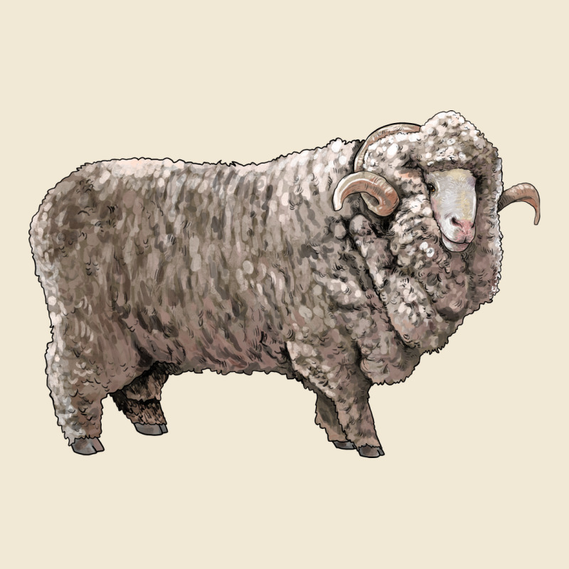 Rambouillet Sheep Ladies Tee by LillyAllenDesigns | Teevron