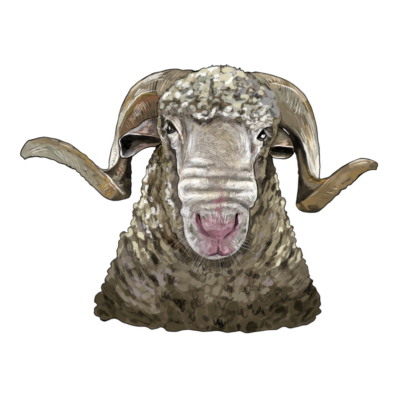 Rambouillet Sheep Head Ladies Tee by LillyAllenDesigns | Teevron