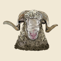 Rambouillet Sheep Head Ladies Tee | Teevron