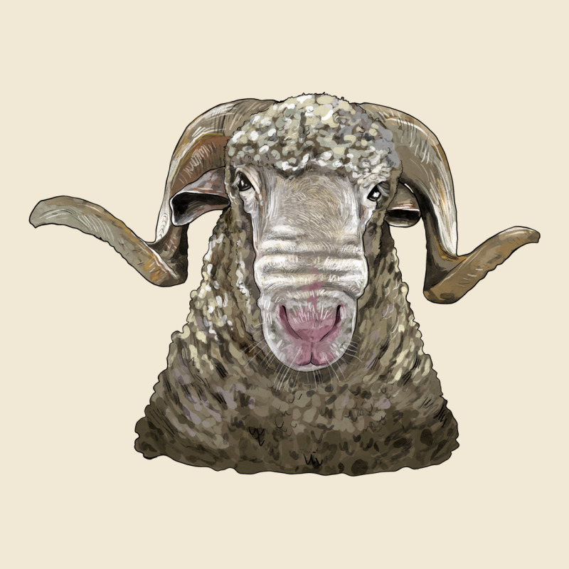 Rambouillet Sheep Head Ladies Tee by LillyAllenDesigns | Teevron