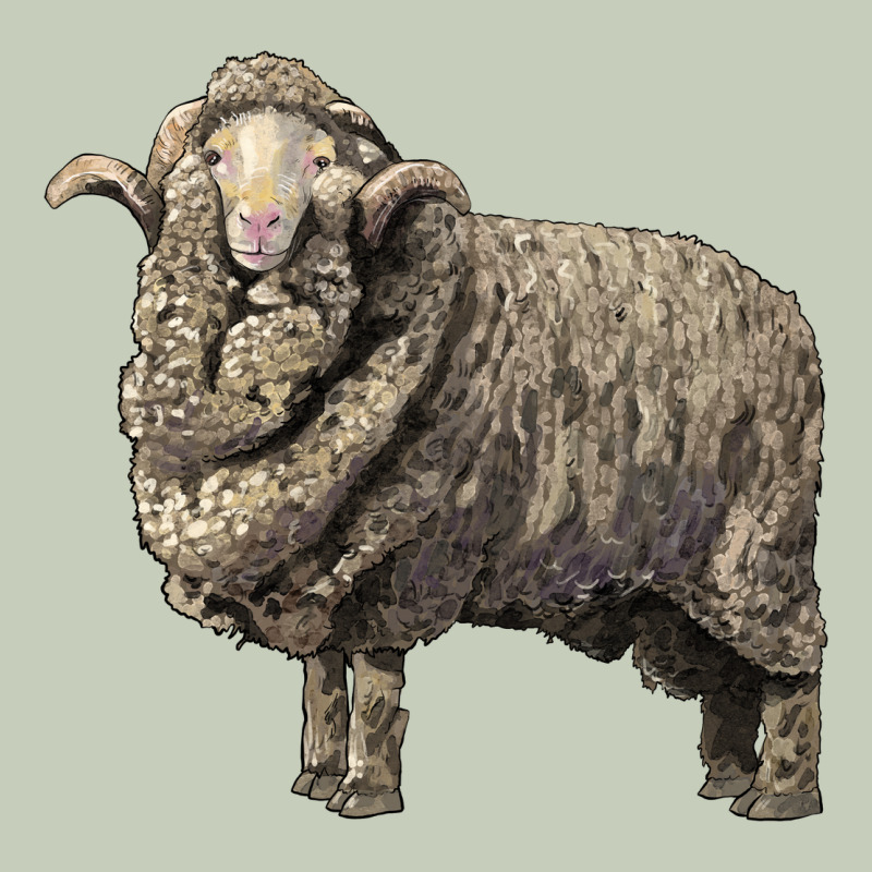 Merino Wool Sheep Ladies Tee by LillyAllenDesigns | Teevron