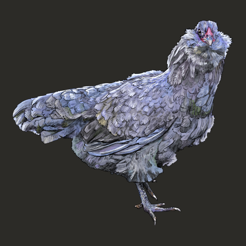 Ameraucana Chicken Heavy Core Tee by LillyAllenDesigns | Teevron