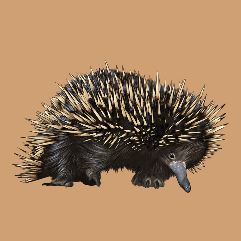 Short Beaked Echidna Vintage Tee by LillyAllenDesigns | Teevron