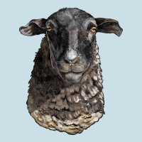 Dorper Sheep Head Ladies Tee | Teevron