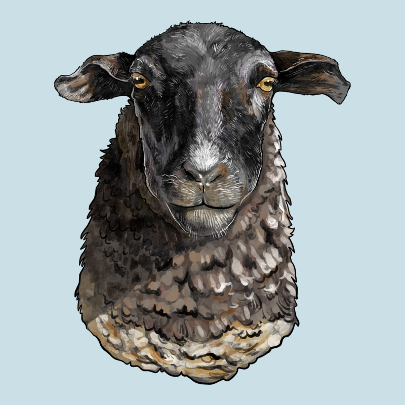 Dorper Sheep Head Ladies Tee by LillyAllenDesigns | Teevron