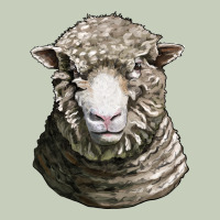 Dorset Sheep Head Ladies Tee | Teevron