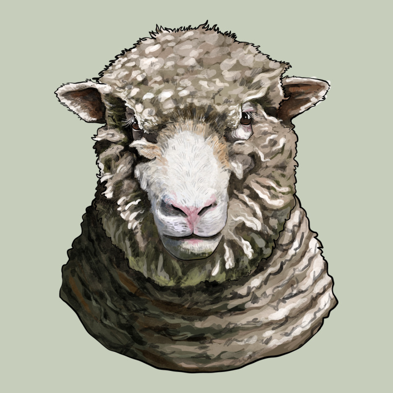 Dorset Sheep Head Ladies Tee by LillyAllenDesigns | Teevron