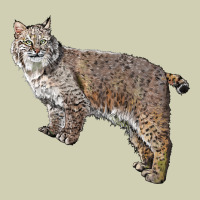 Bobcat Heavy Core Tee | Teevron