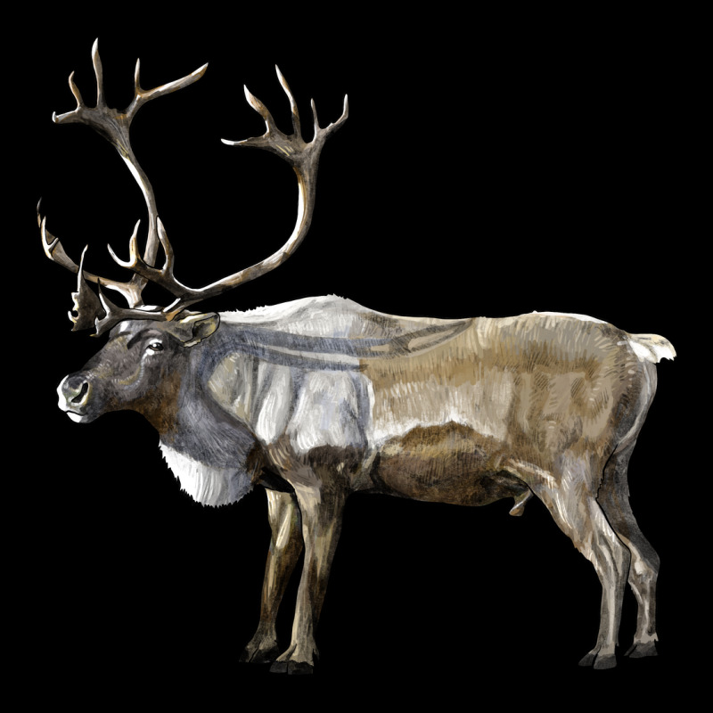 Reindeer Buck Deer Ladies Tee by LillyAllenDesigns | Teevron