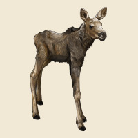 Moose Fawn Deer Ladies Tee | Teevron