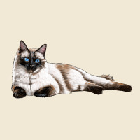 Siamese Ladies Tee | Teevron
