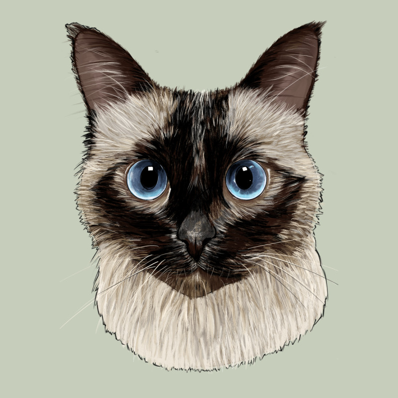 Siamese Face Ladies Tee by LillyAllenDesigns | Teevron