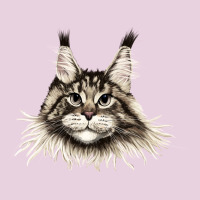 Maine Coon Cat Face Ladies Tee | Teevron