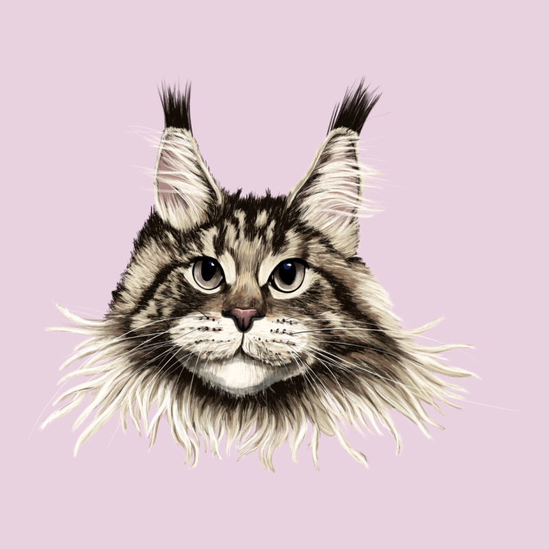 Maine Coon Cat Face Ladies Tee by LillyAllenDesigns | Teevron