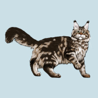 Maine Coon Cat Ladies Tee | Teevron
