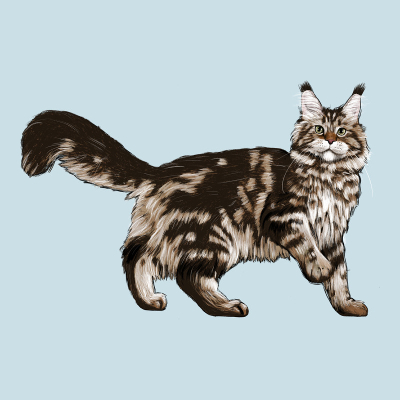Maine Coon Cat Ladies Tee by LillyAllenDesigns | Teevron