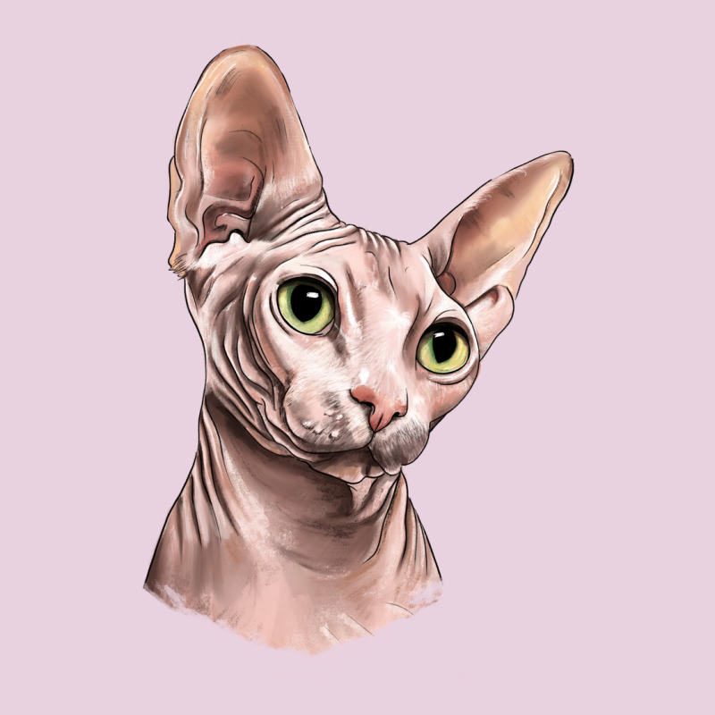 Sphynx Cat Ladies Tee by LillyAllenDesigns | Teevron