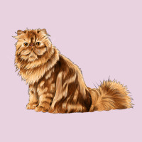 Persian Cat Ladies Tee | Teevron