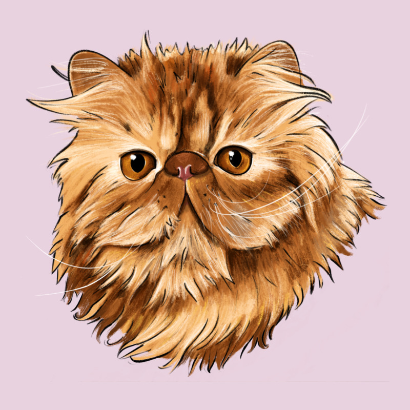 Persian Cat Face Ladies Tee by LillyAllenDesigns | Teevron