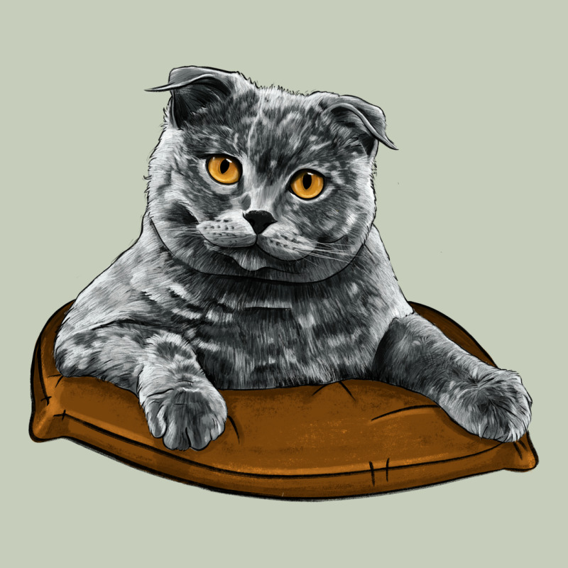 Scottish Fold Ladies Tee by LillyAllenDesigns | Teevron