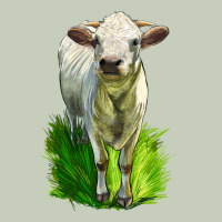 Charolais Heifer Ladies Tee | Teevron