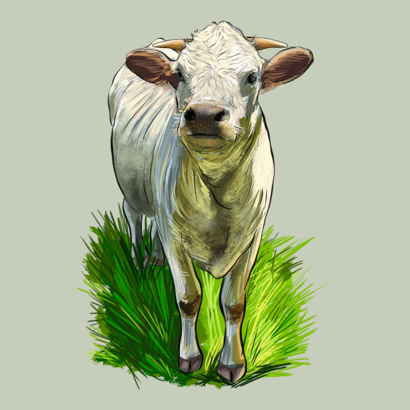 Charolais Heifer Ladies Tee by LillyAllenDesigns | Teevron
