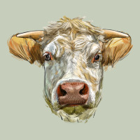 Charolais Bull Face Ladies Tee | Teevron