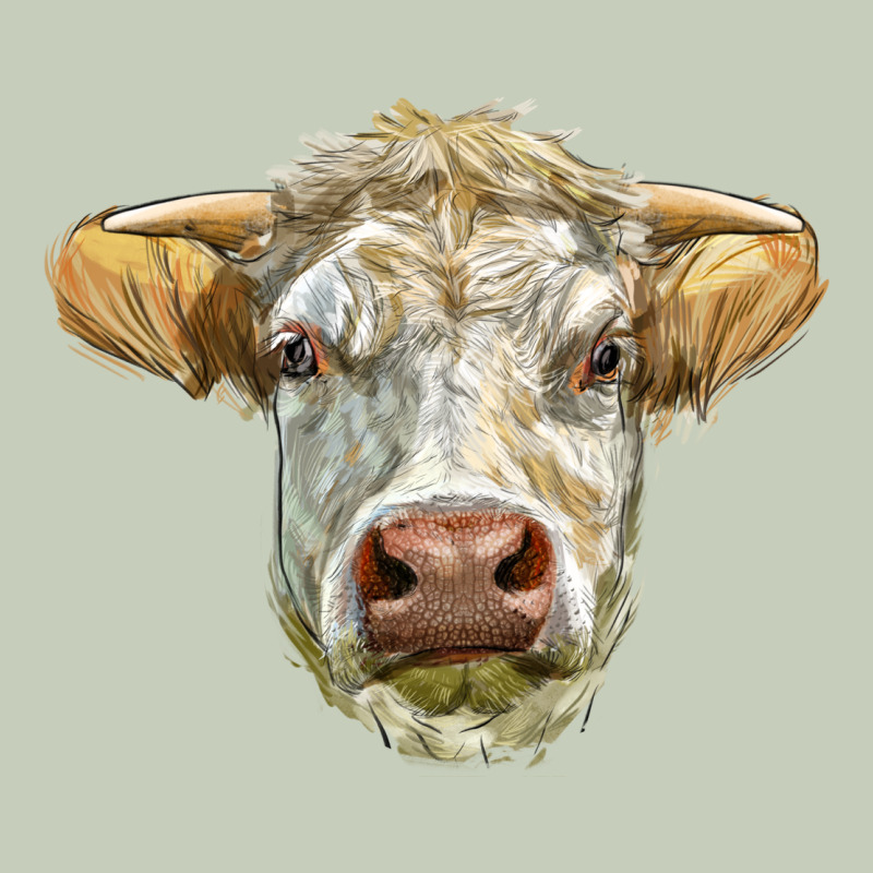 Charolais Bull Face Ladies Tee by LillyAllenDesigns | Teevron