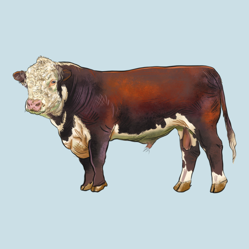 Hereford Bull Ladies Tee by LillyAllenDesigns | Teevron