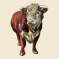 Hereford Bull Face Ladies Tee | Teevron