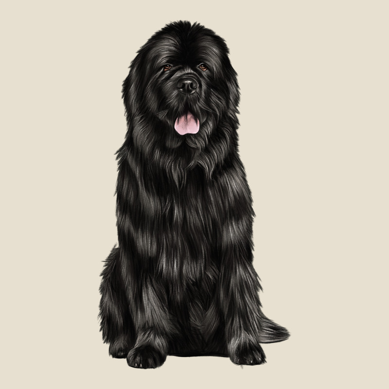 Newfoundland Dog Urban Heavy Tee by LillyAllenDesigns | Teevron