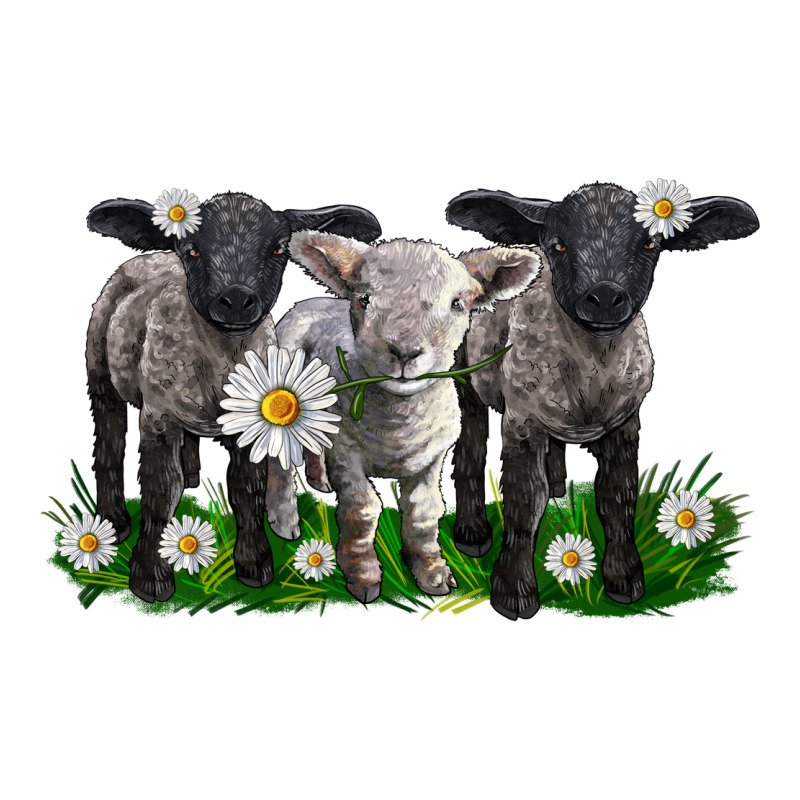 Baby Sheeps With Daisies Ladies Tee by LillyAllenDesigns | Teevron